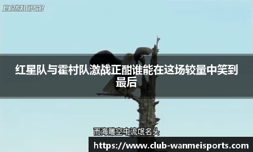 完美体育平台